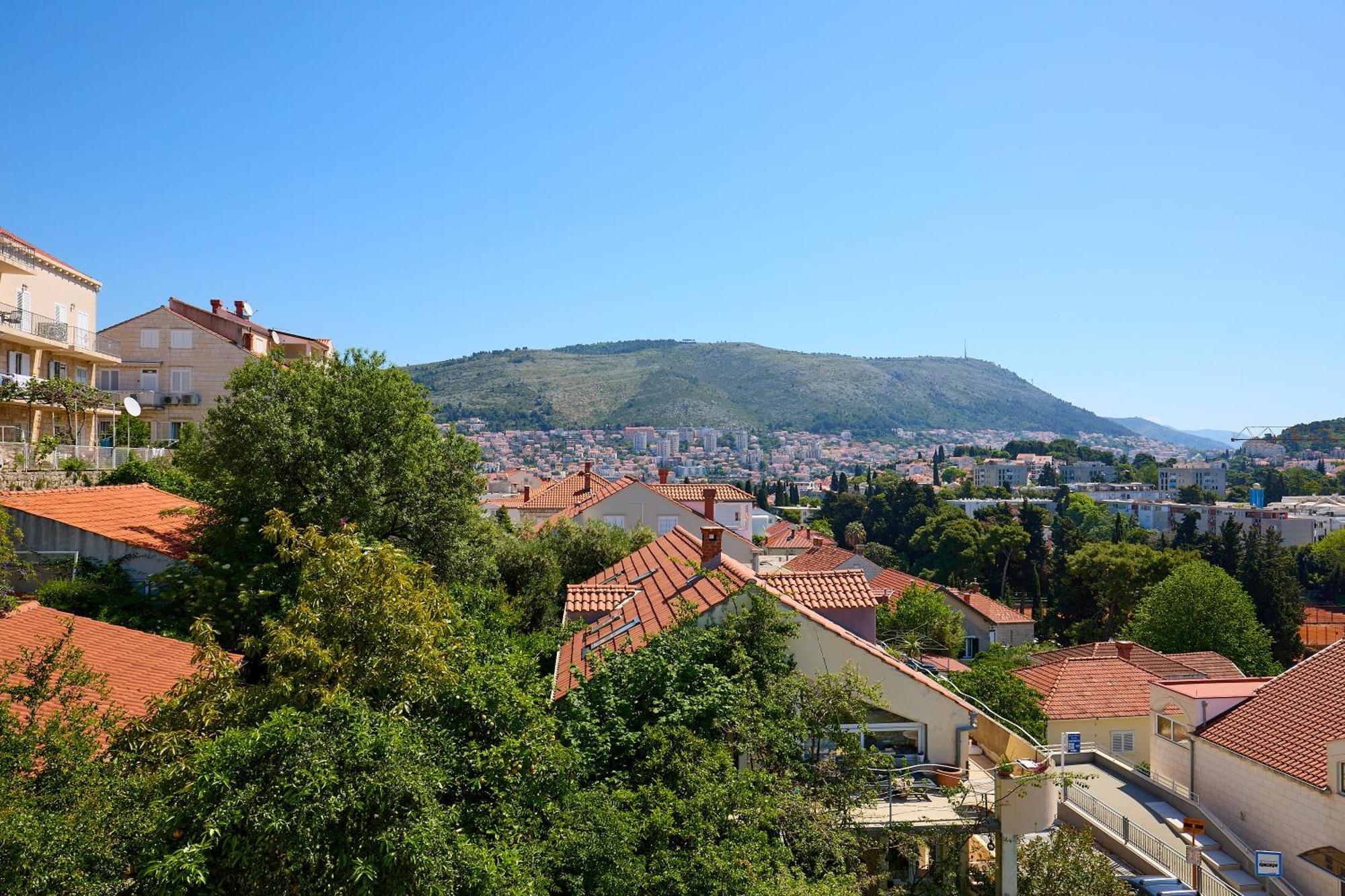 Kablar's Sunny